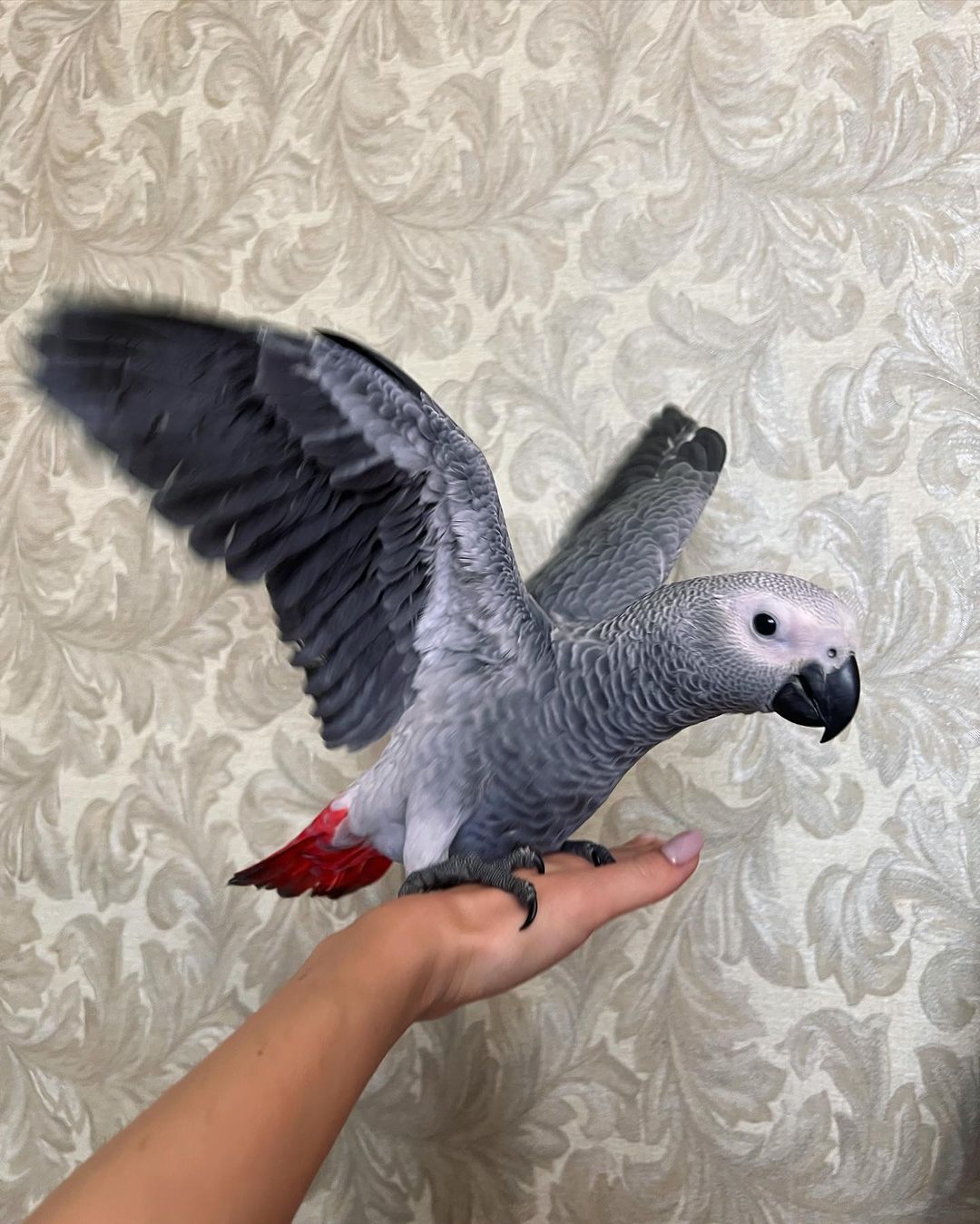 unknown_281801769_1027635871477518_1344628231944193785_n